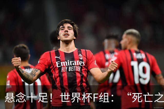 悬念十足！世界杯F组：“死亡之组”的24种排列组合