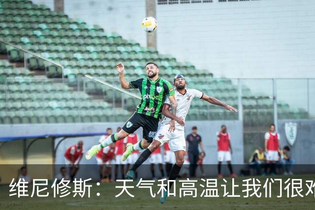 维尼修斯：天气和高温让我们很难保持节奏，但我们必须适应
