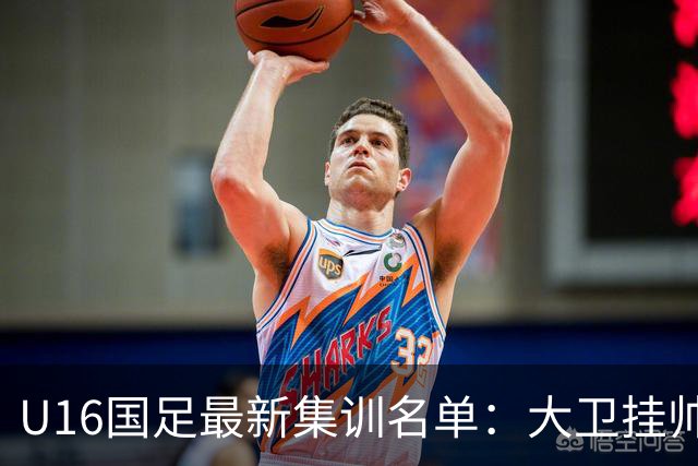U16国足最新集训名单：大卫挂帅刘凯源领衔，鲁能足校6人入选